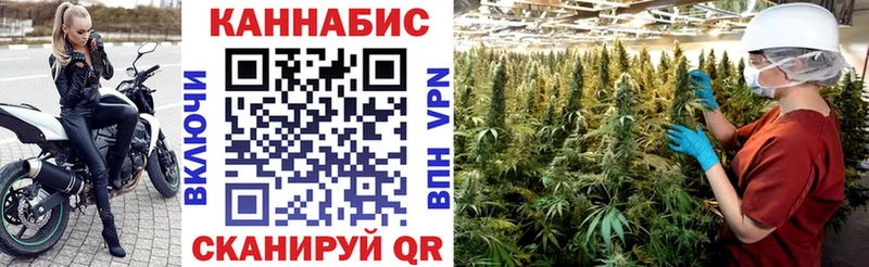 Купить  Светлогорск  Бошки марихуана конопля 